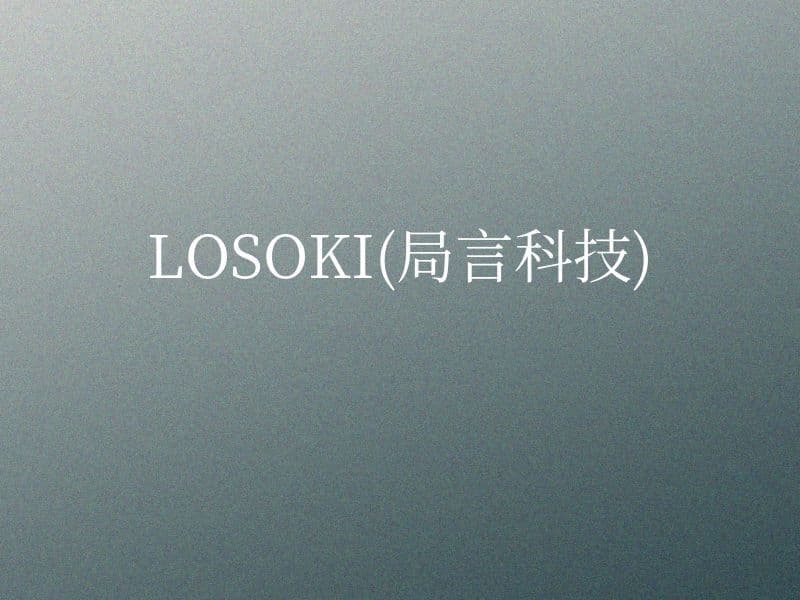LOSOKI(局言科技)案例