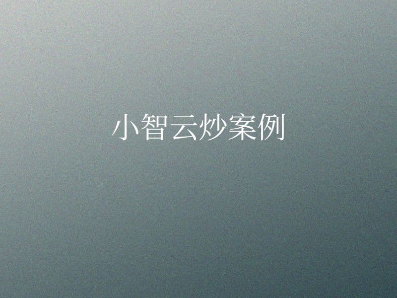 小智云炒案例